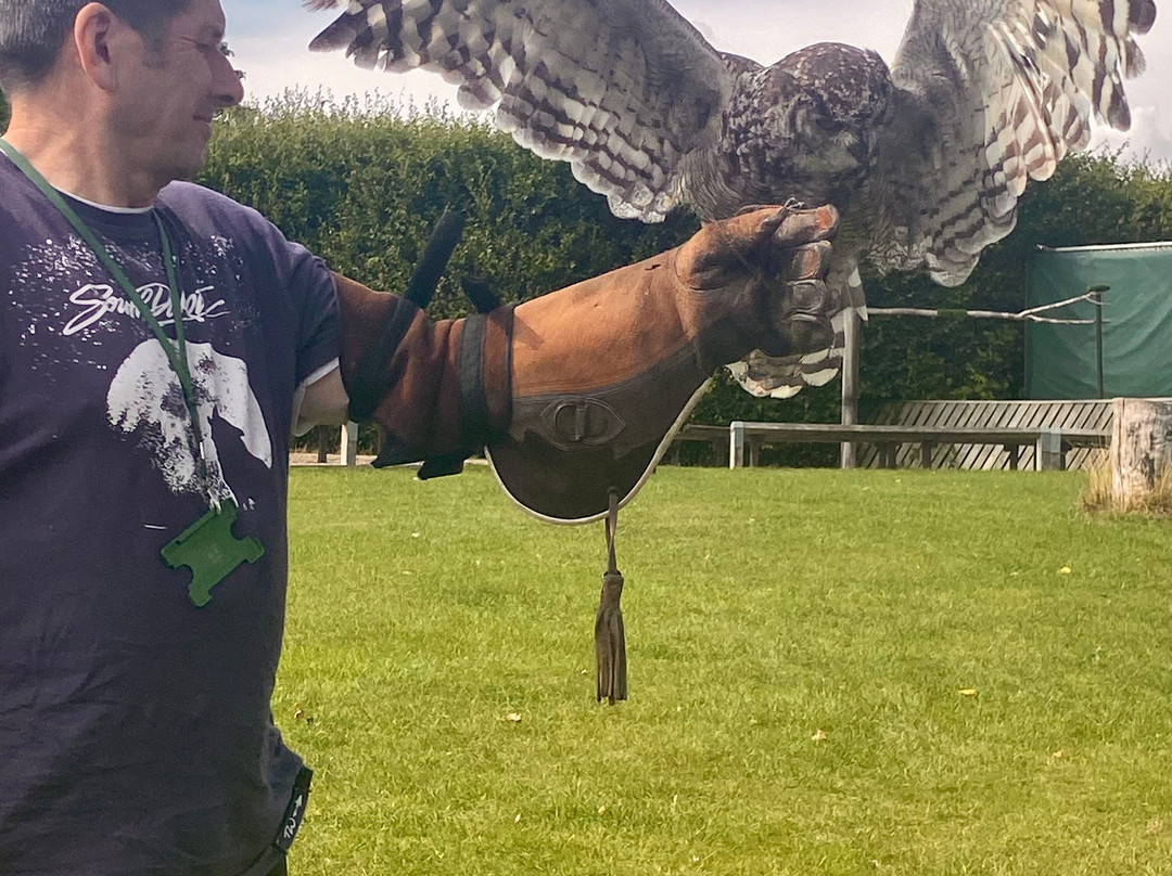 Thirsk Birds Of Prey Centre-瑟斯克必去景点