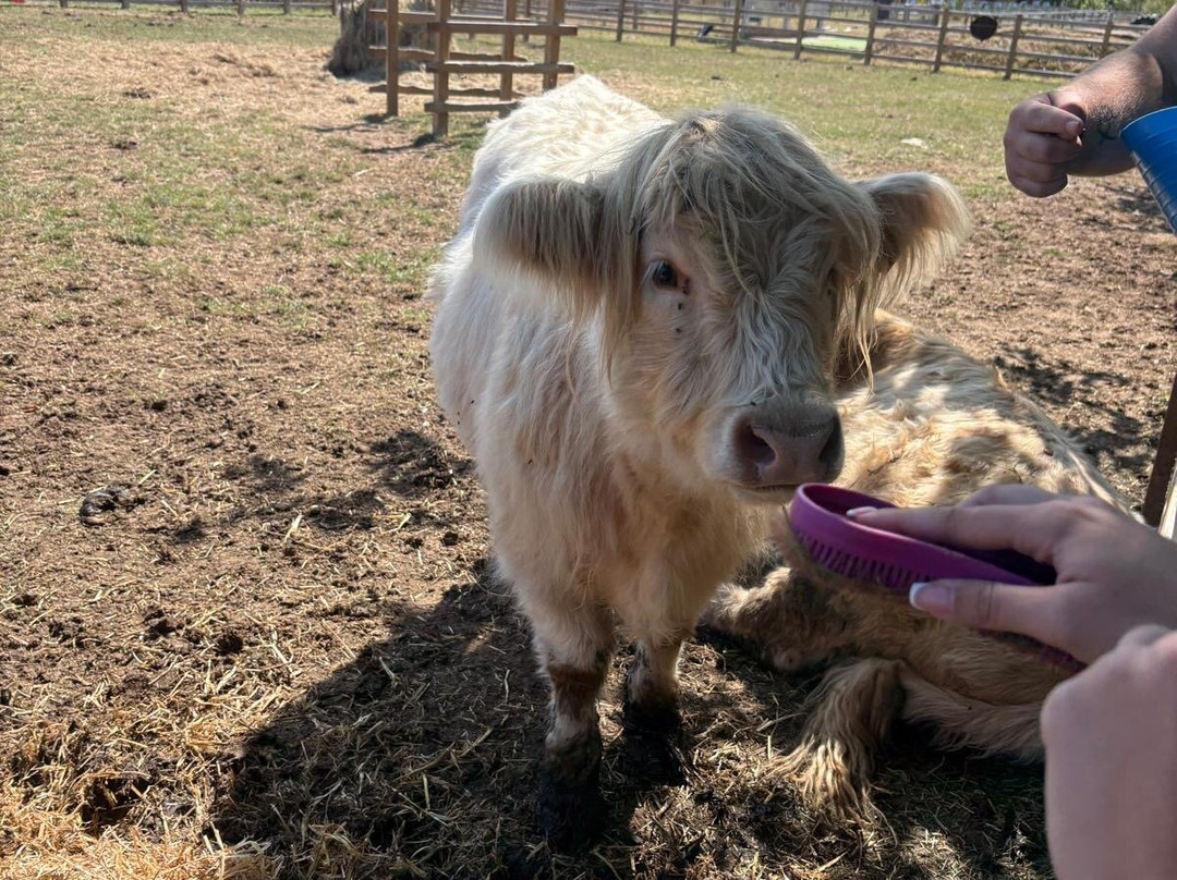 Quex Adventure Farm Park-Birchington必去景点