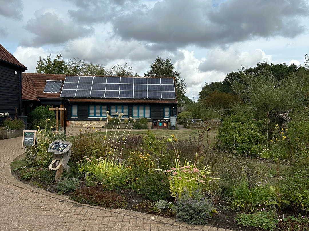 Pulborough Brooks RSPB-Pulborough必去景点