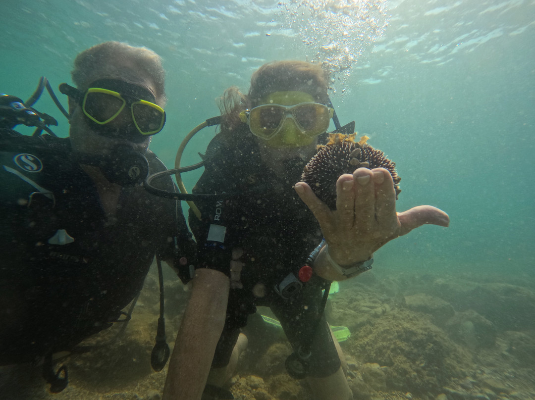 Abyss Diving & Water Sports Center-杜布罗夫尼克必去景点