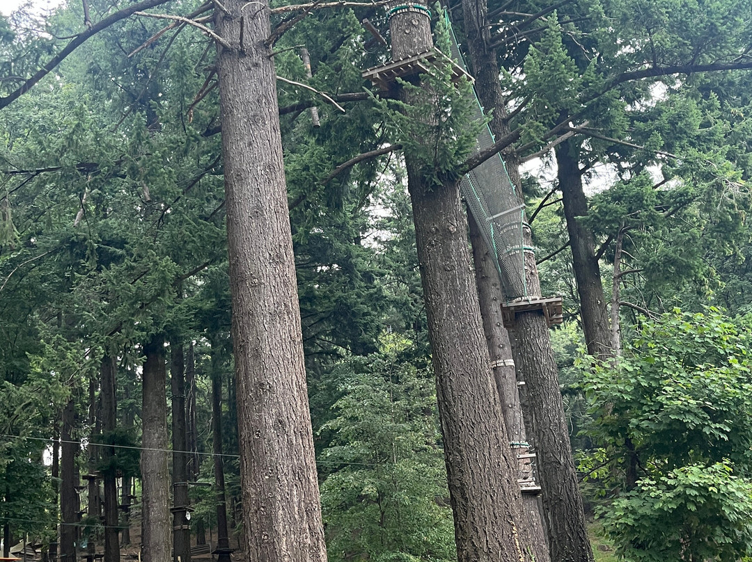 Jungle Raider Park-Albavilla必去景点