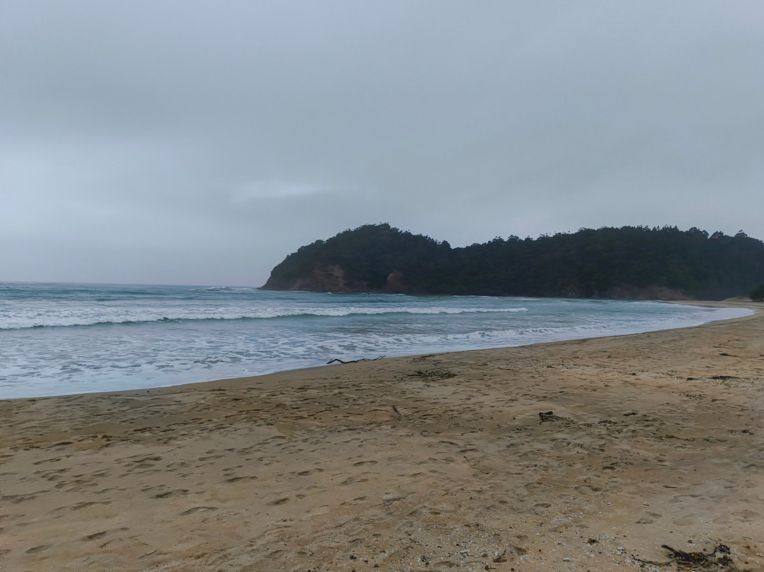 Matapouri Bay-Tutukaka必去景点