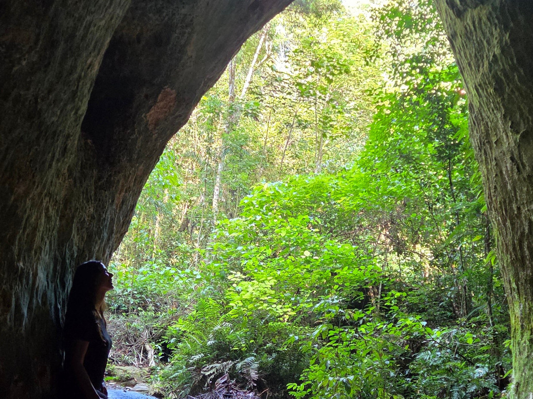 Iguana Turismo-玛瑙斯必去景点