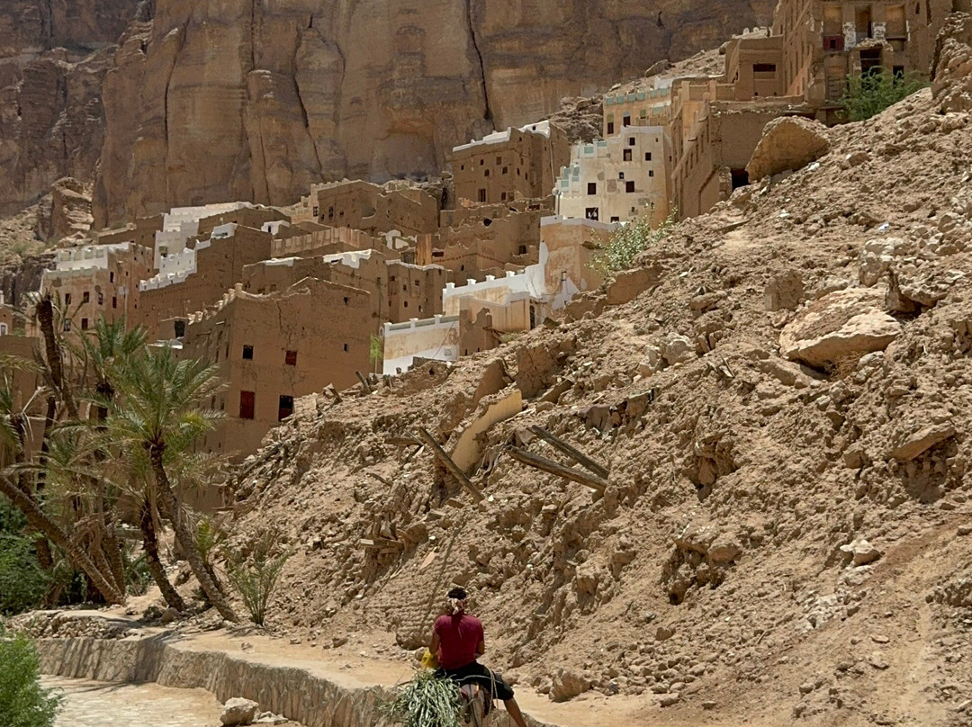 seiyun Easy travel to Yemen-Ḩayd al Jazīl必去景点