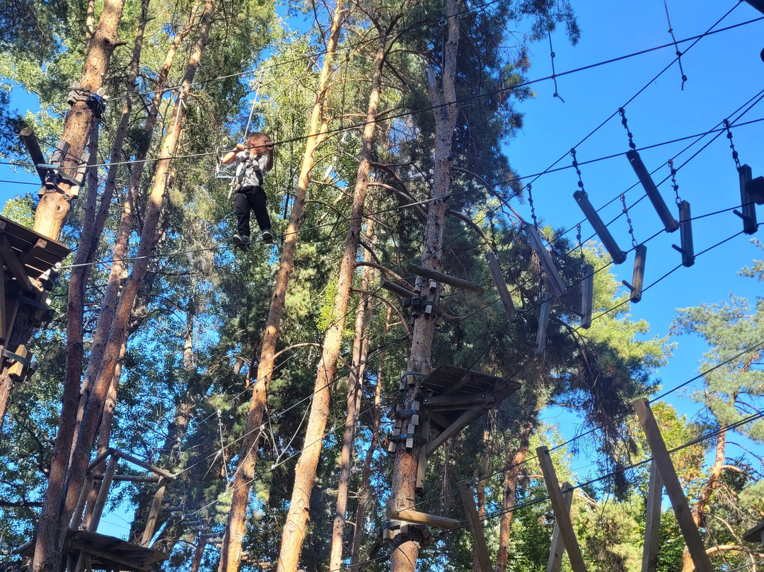Parc Aventure: Sion-锡永必去景点
