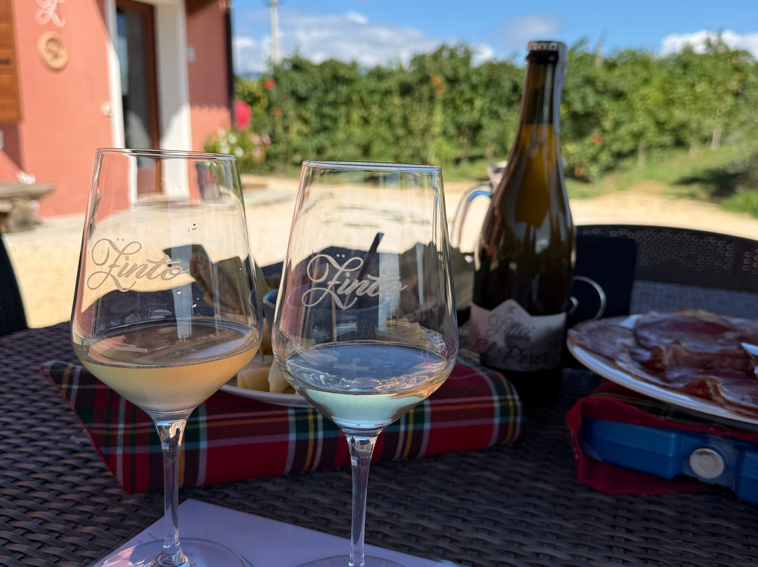 Cantina Zinto - Società Agricola Da Lozzo Romeo Ed Enrico s.s-科内利亚诺必去景点