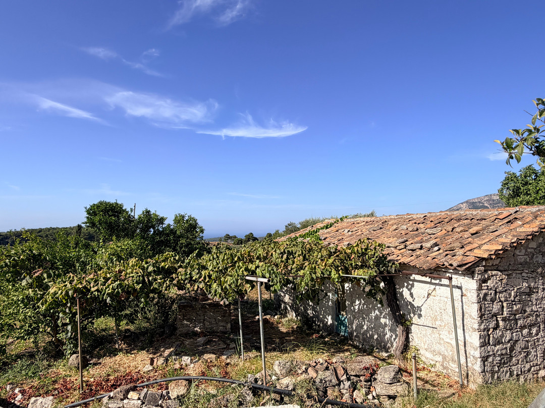 Vakakis Winery-Karlovasi必去景点