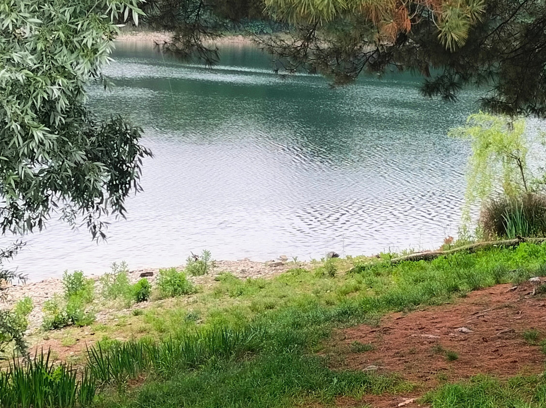 Lago di Bertignano-Viverone必去景点