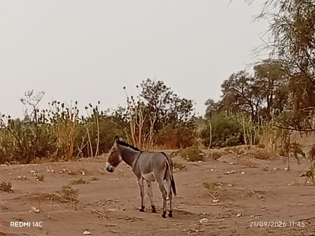 Voyage Désert Maroc-迈哈米德必去景点