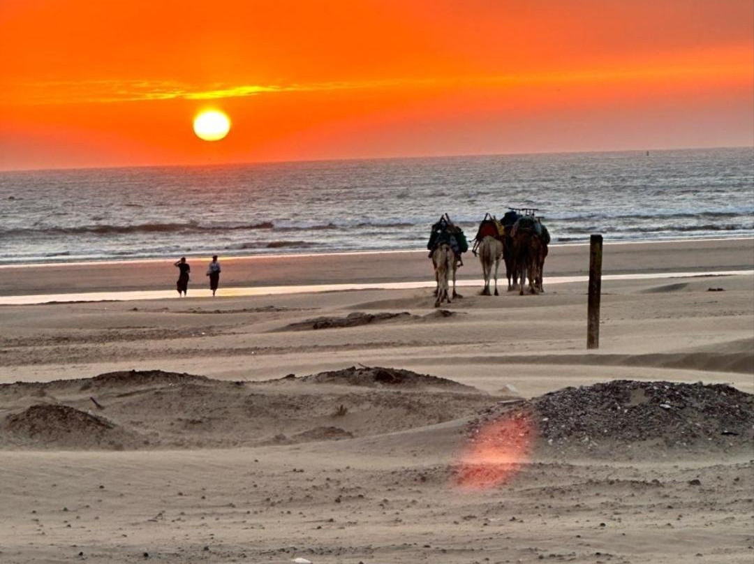 Moroccan Safaris Travel-非斯必去景点
