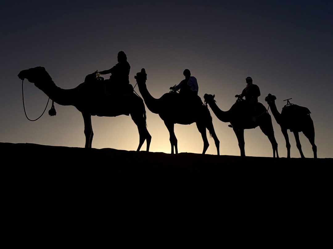 Sahara Desert Kingdom-马拉喀什必去景点
