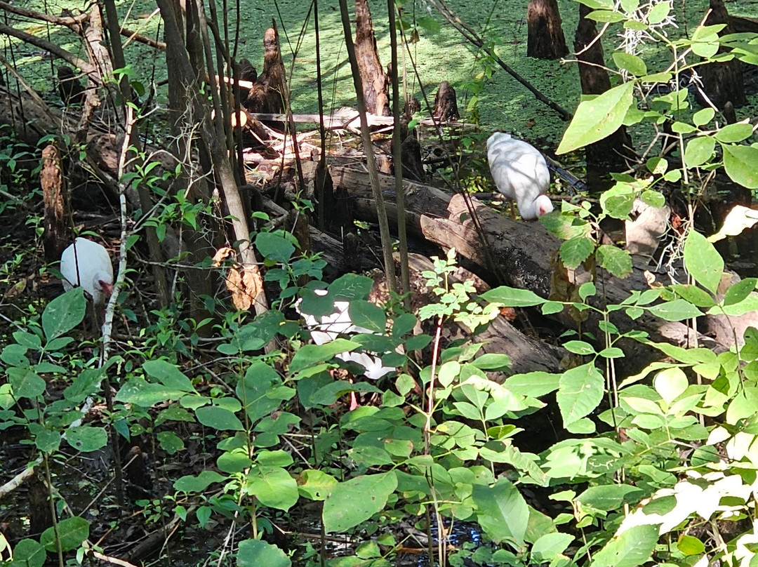 Black Bear Wilderness Area-桑福德必去景点