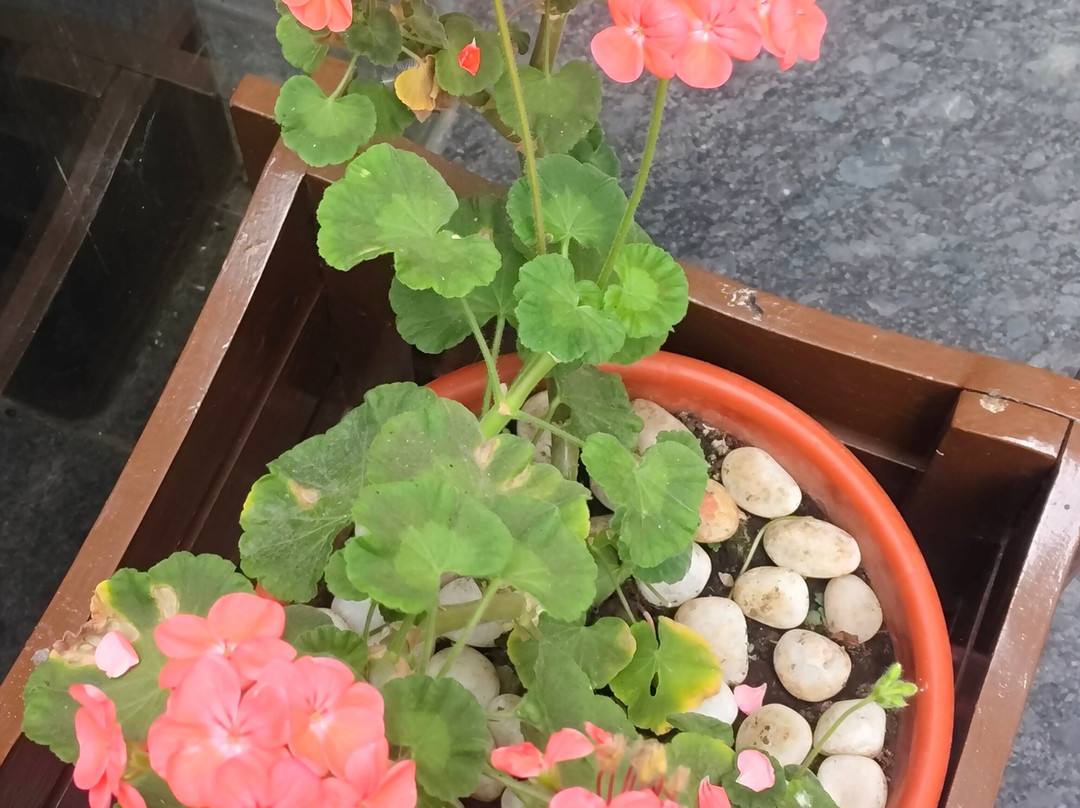 科代谷斯特林酒店主图