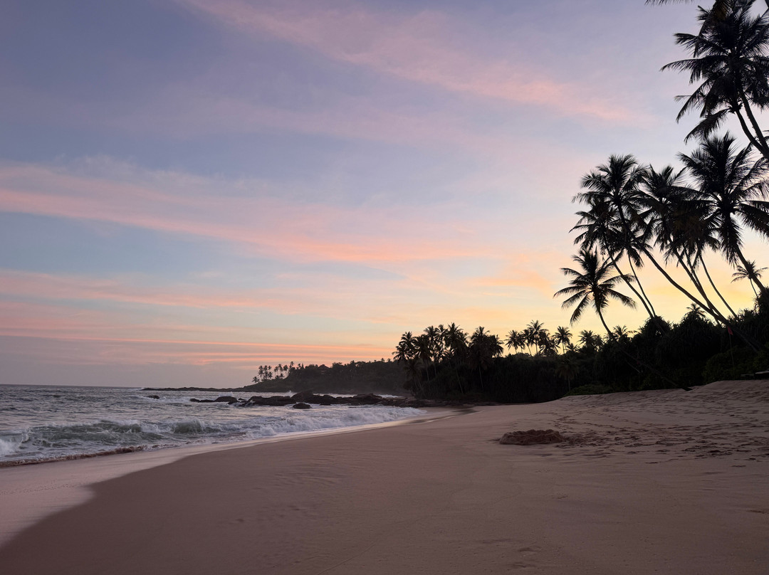 Lanka Classy Tours-凯拉尼亚必去景点