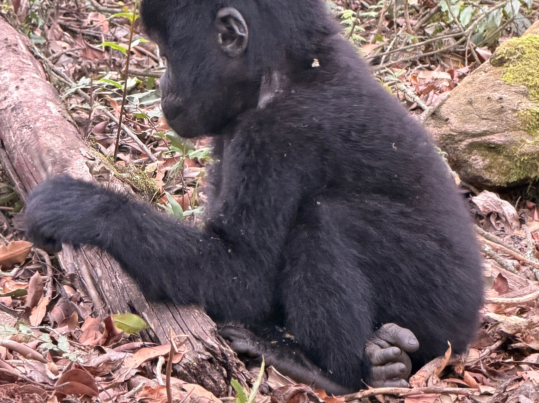 RAW Africa Eco Tours-威廉斯镇必去景点