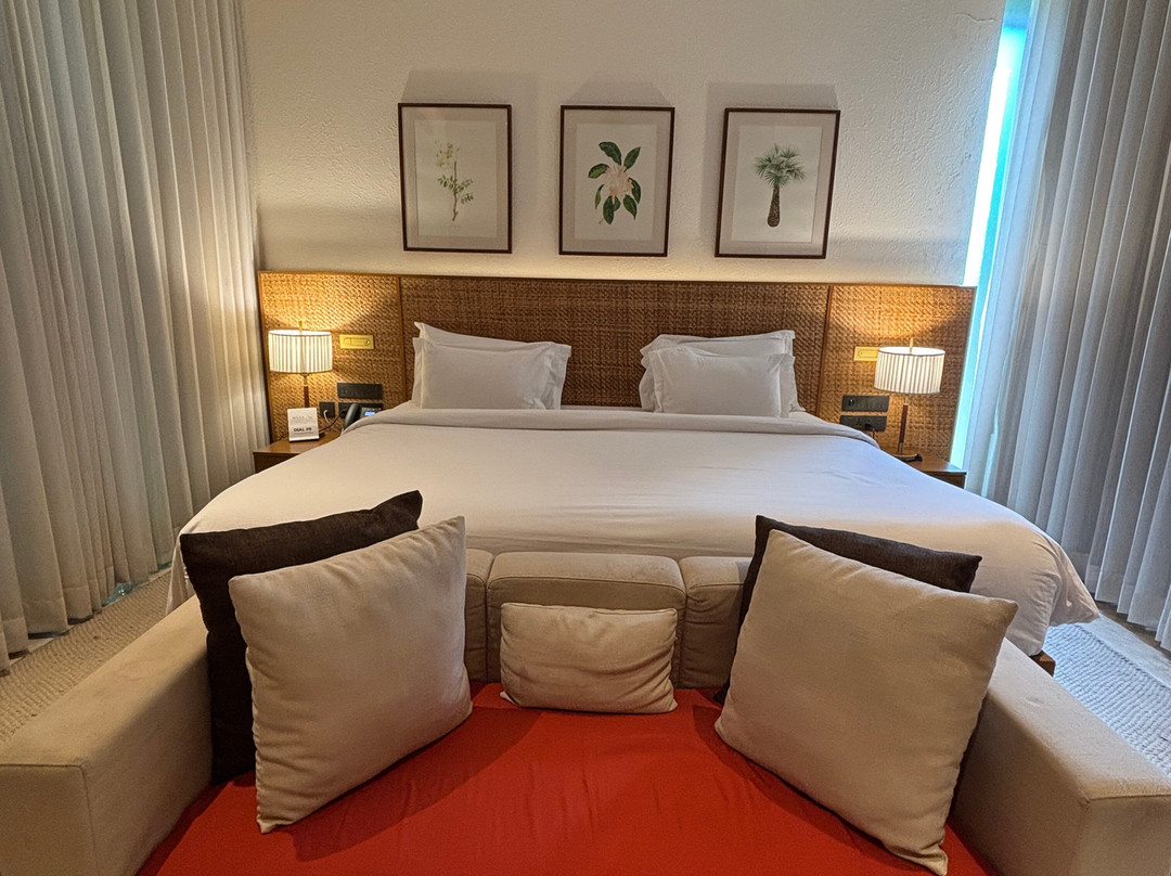 Mysa Zinc Journey by the Fern, Nani Devati主图