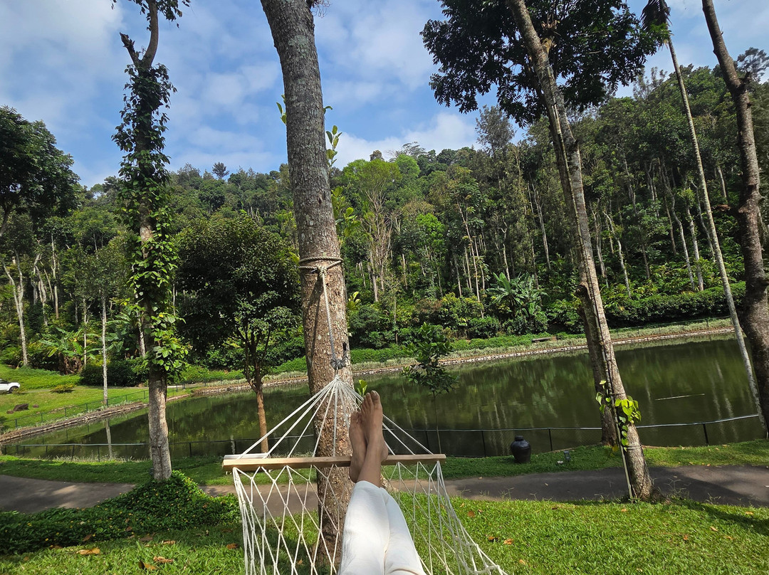 Amaana Plantation Resort主图