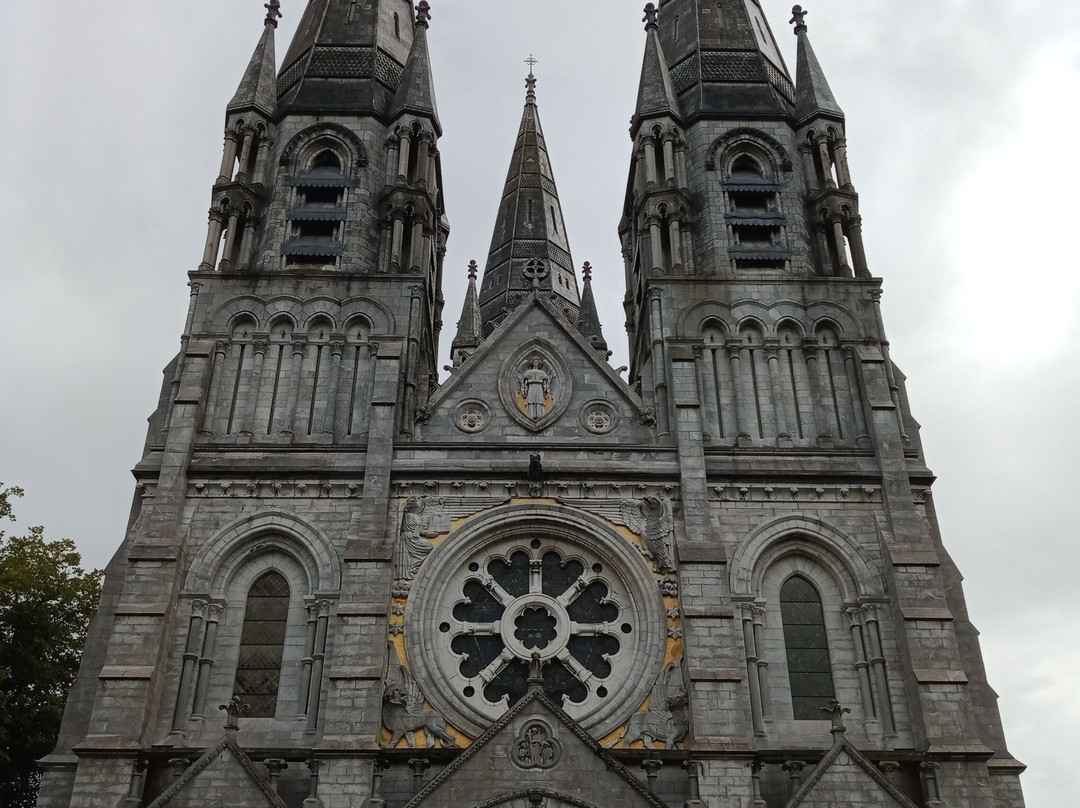 St Fin Barre's Cathedral-科克必去景点