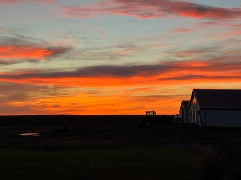 Solheimahjaleiga Bed & Breakfast