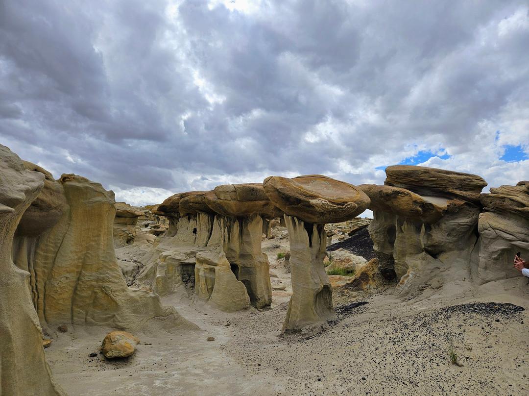 Navajo Tours USA-Nageezi必去景点