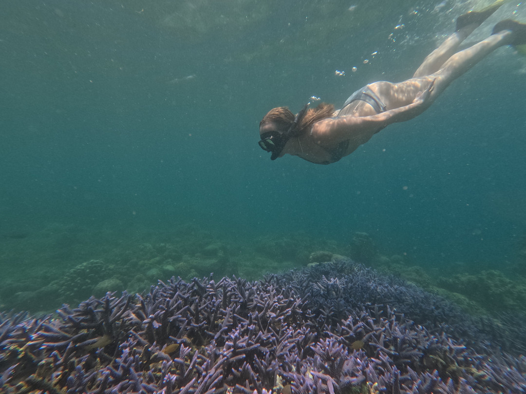 Lombok Hikes