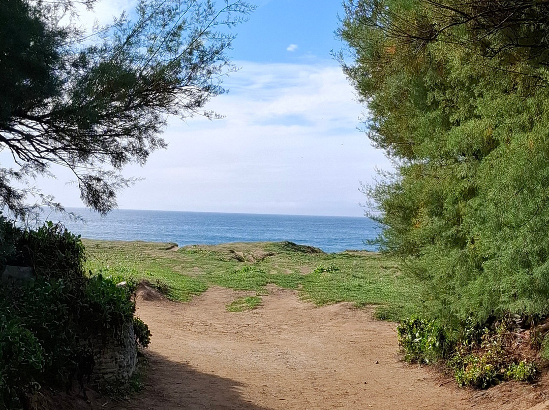 Constantine Bay Beach-帕兹托必去景点