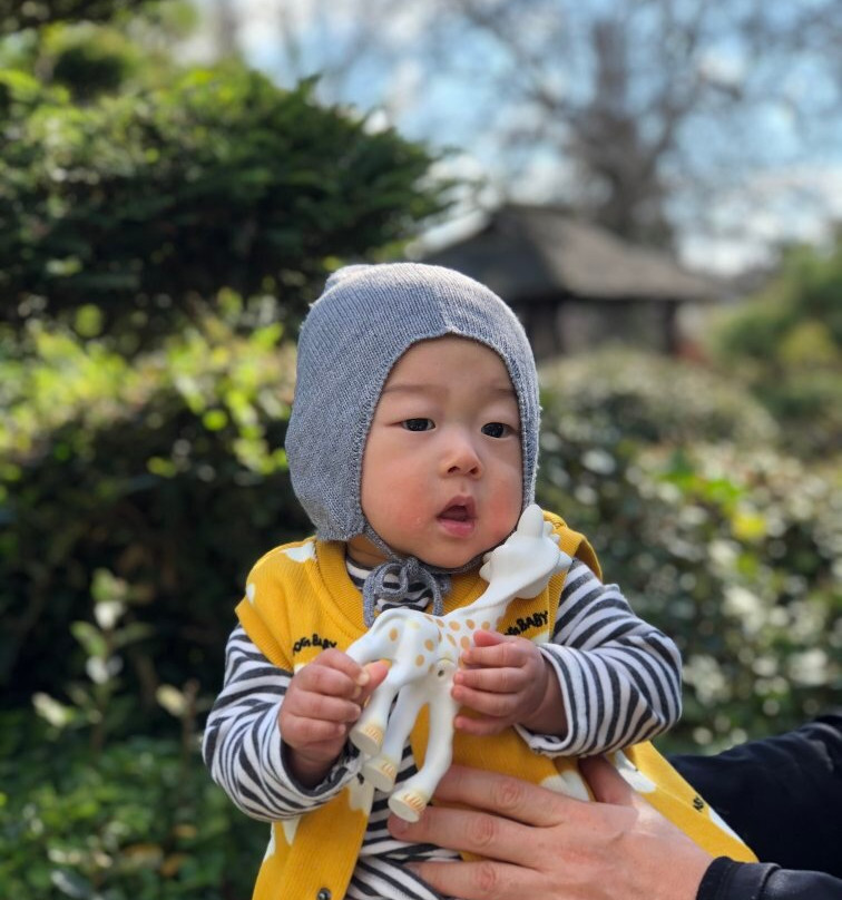 Hayward Japanese Gardens-海沃德必去景点