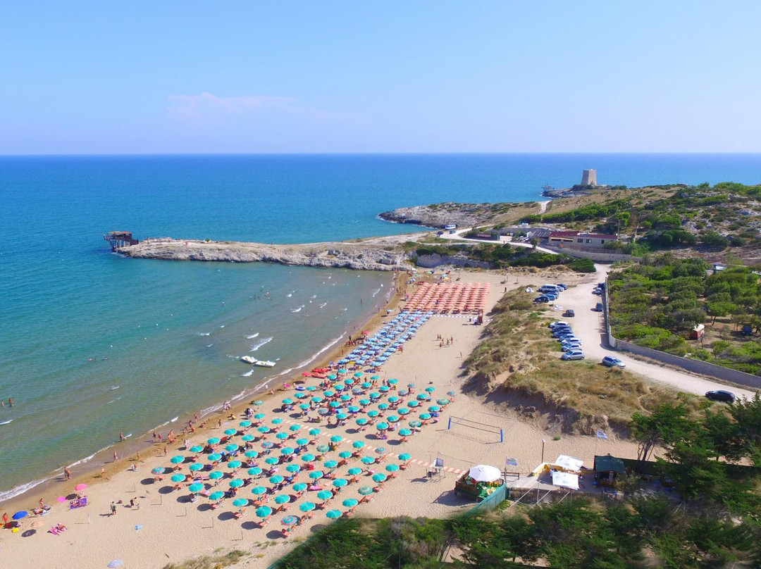 Spiaggia Scialmarino旅游攻略图片
