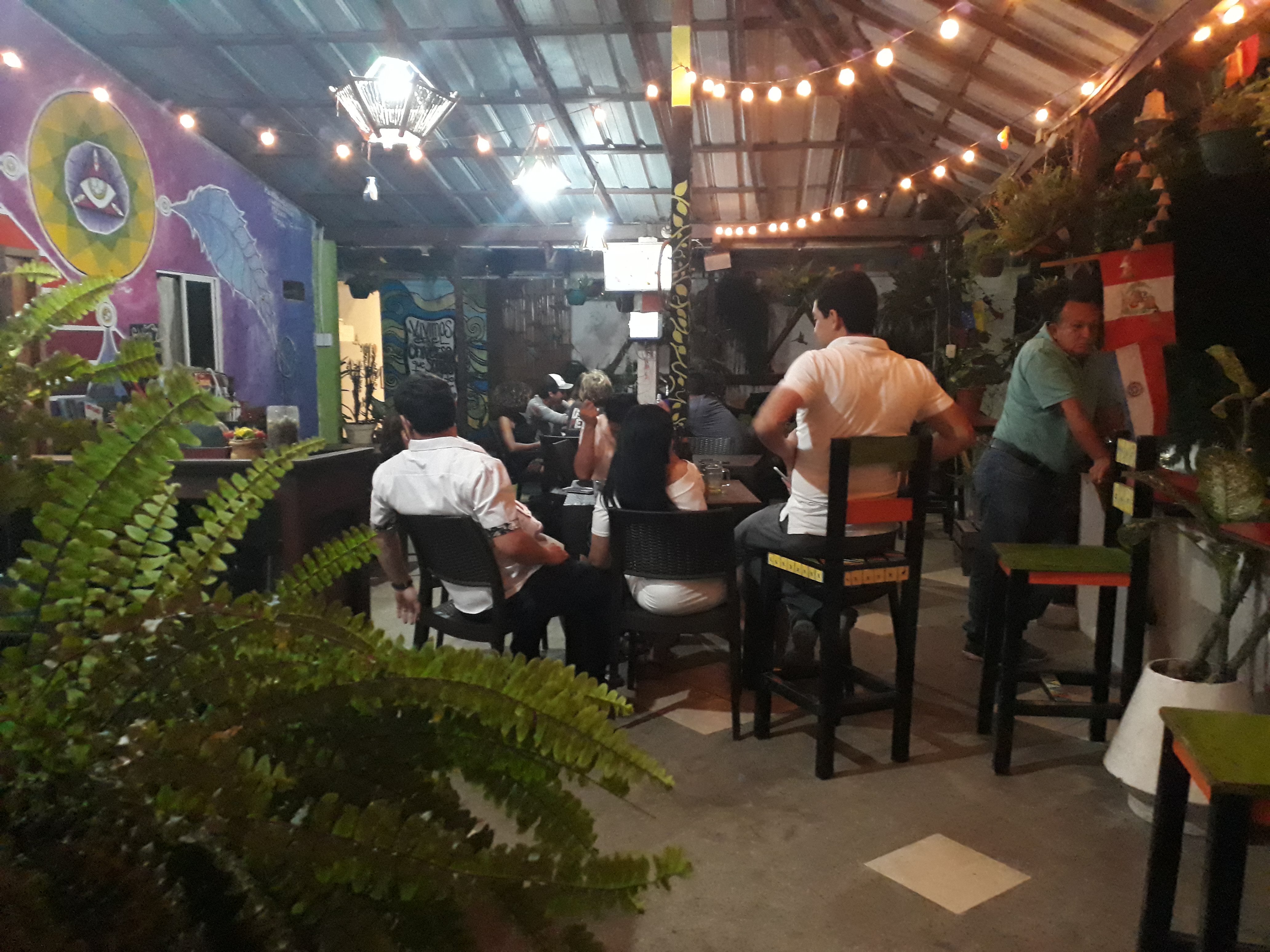 Los Islotes Beach Front Hostel-官方