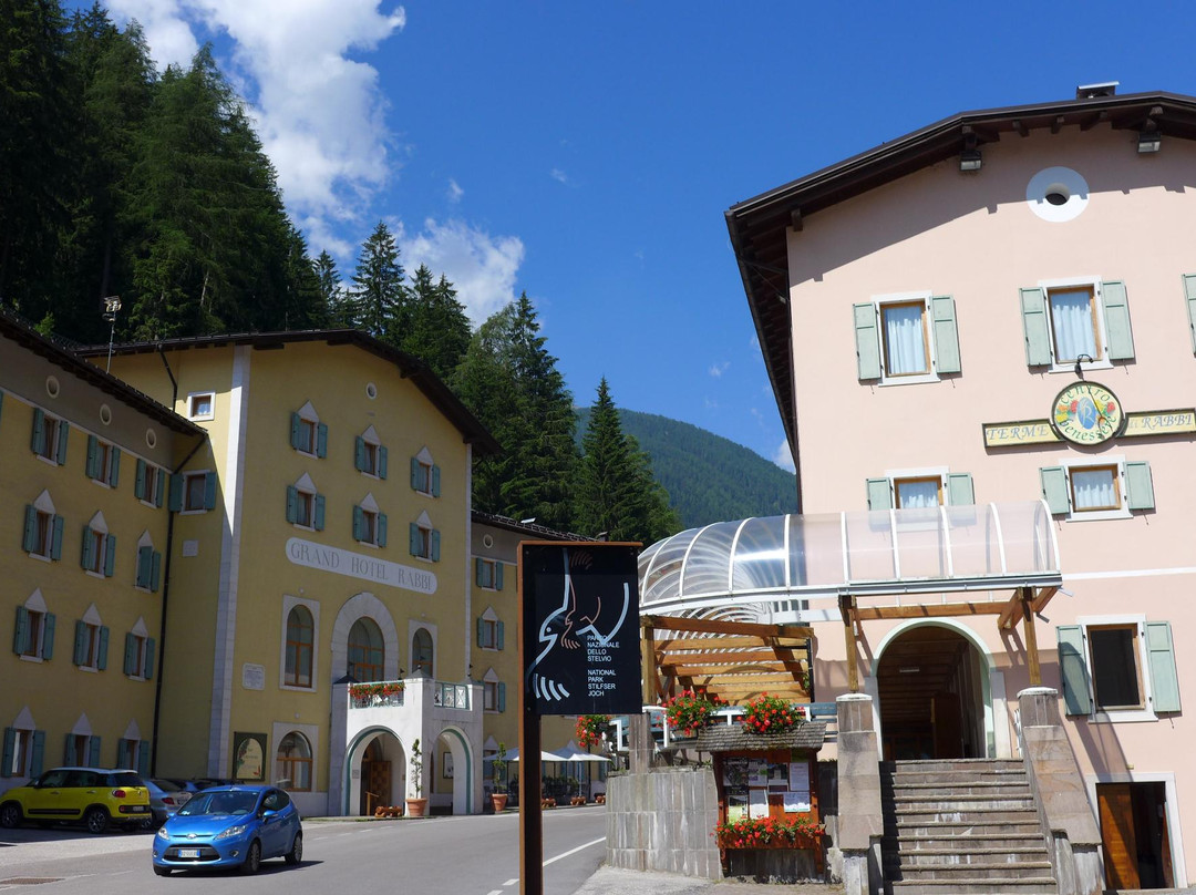 Rabbi酒店住宿-Grand Hotel Rabbi