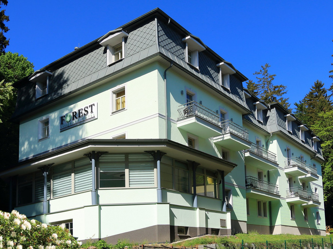 Prameny酒店住宿-Forest Park Hotel