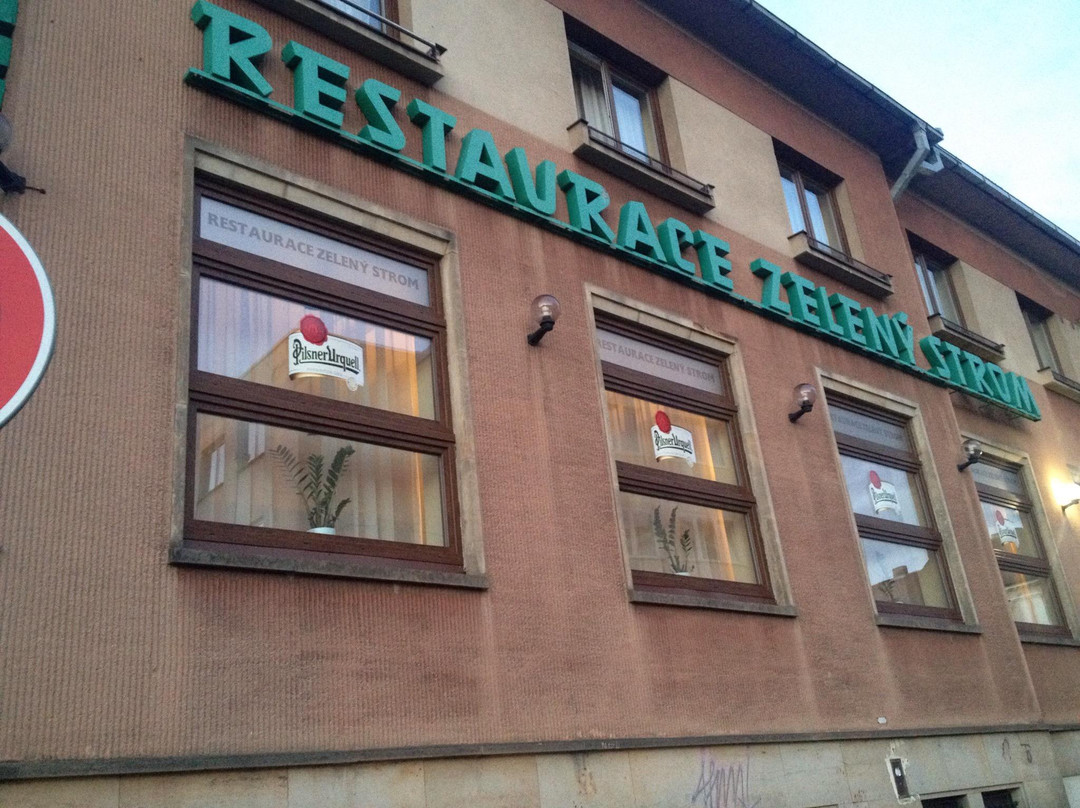 Hotel Zeleny Strom
