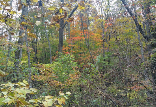 五女峰国家森林公园-通化市必去景点