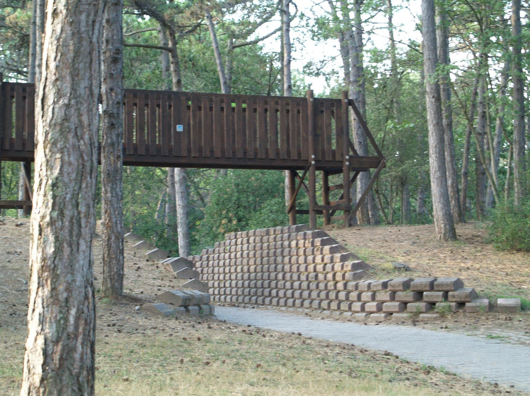 Villagio Parco Hemingway