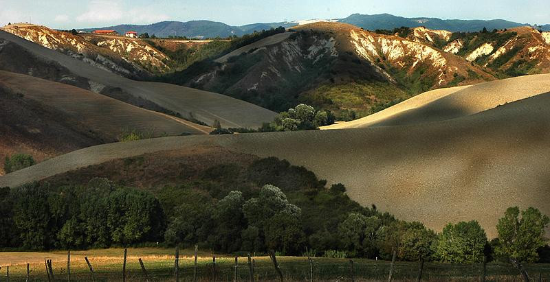 Fattoria Lischeto