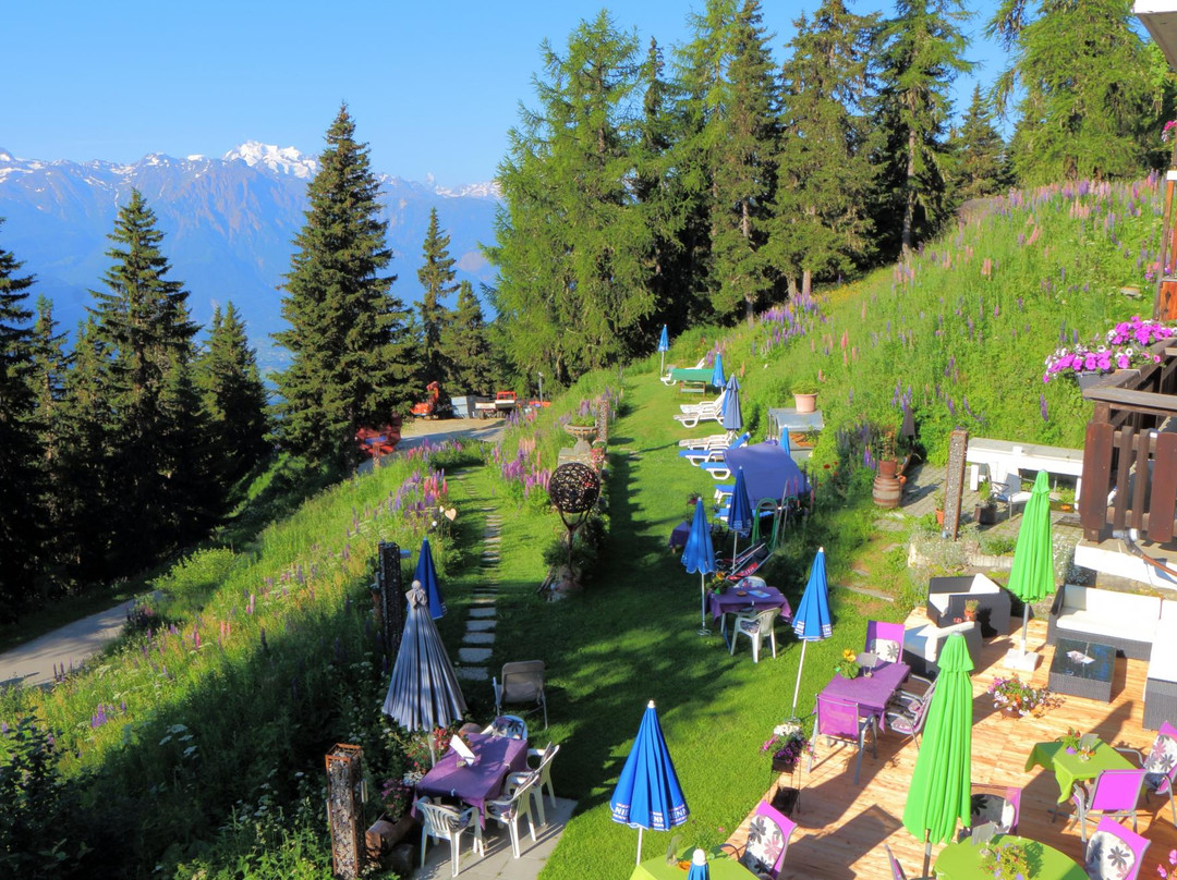 Hotel Waldhaus