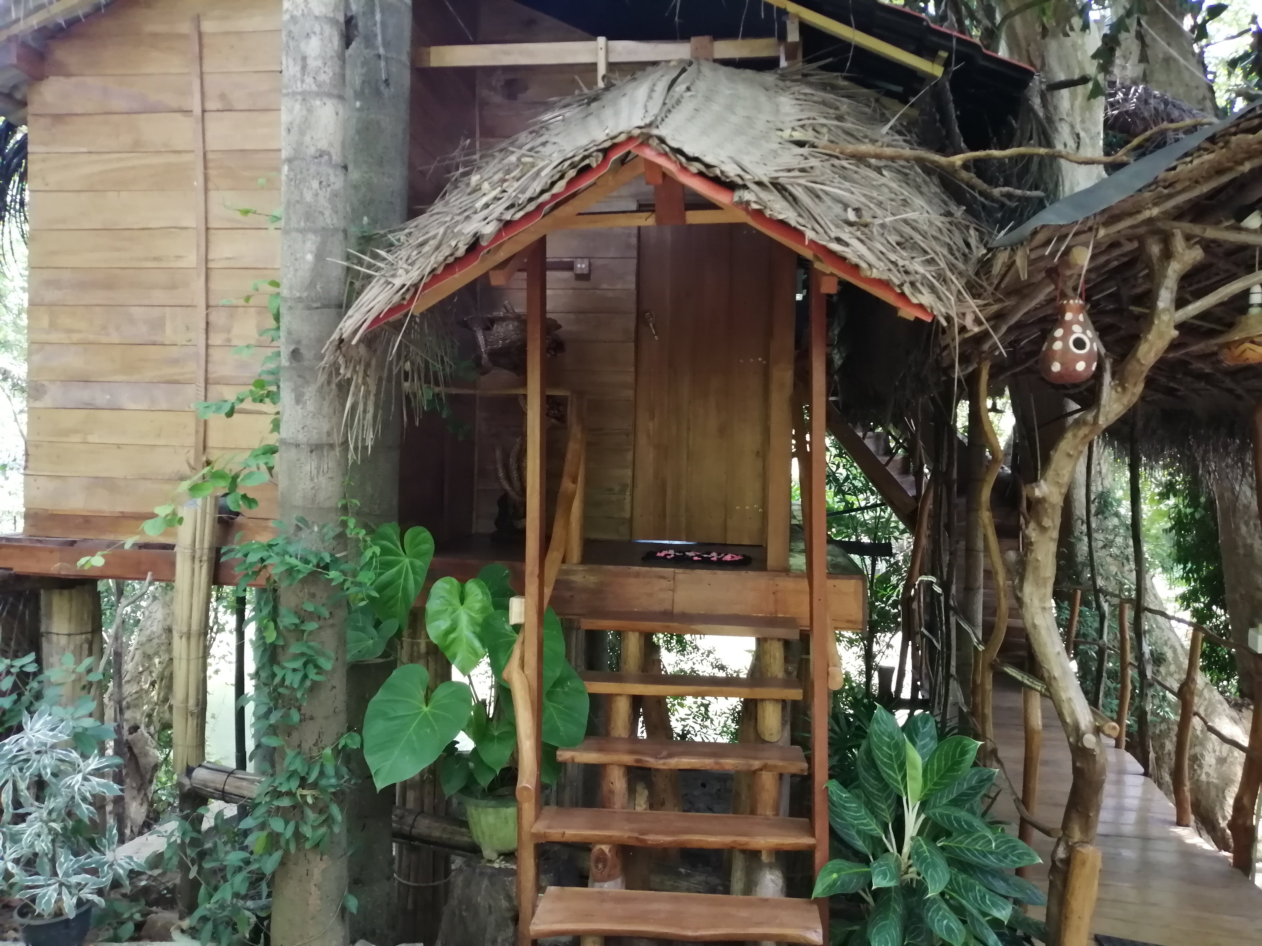 Kumbuk Tree House-官方