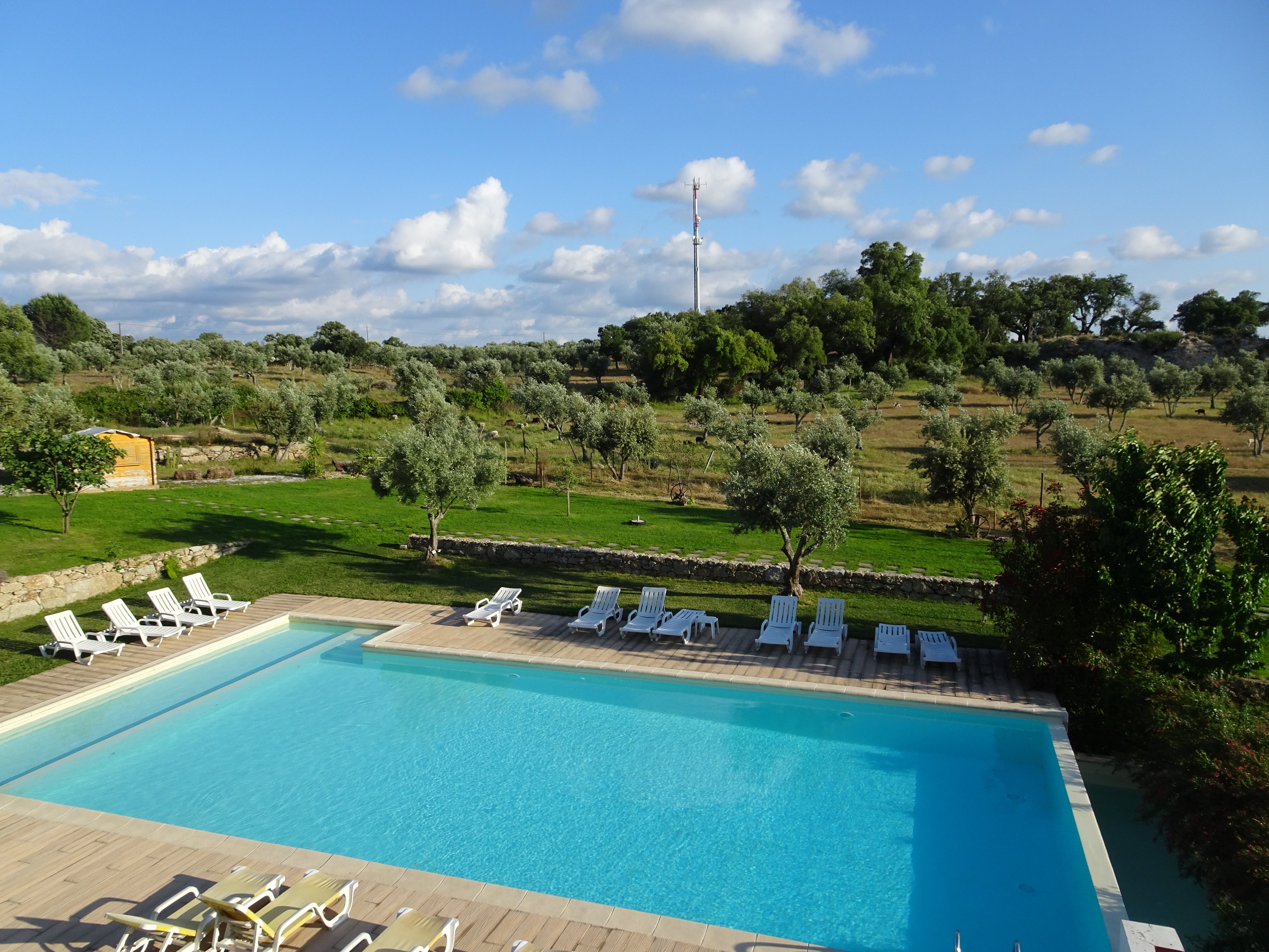Monte Filipe Hotel & Spa-泳池
