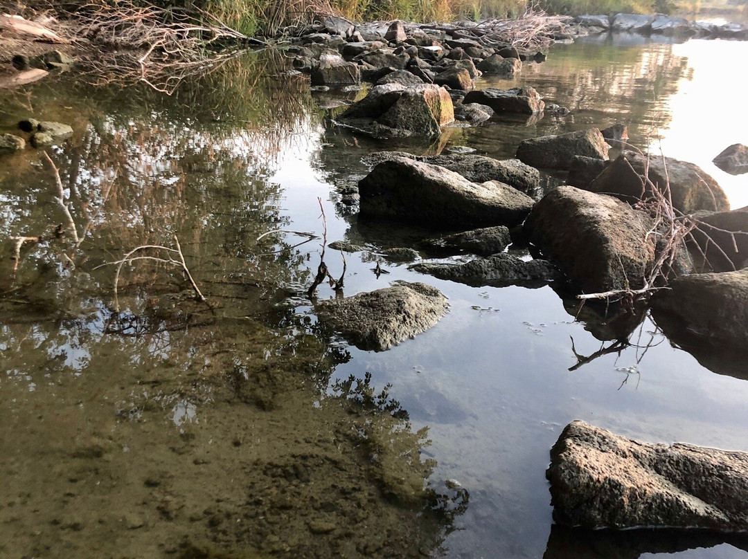 Hampton Inn Burley主图