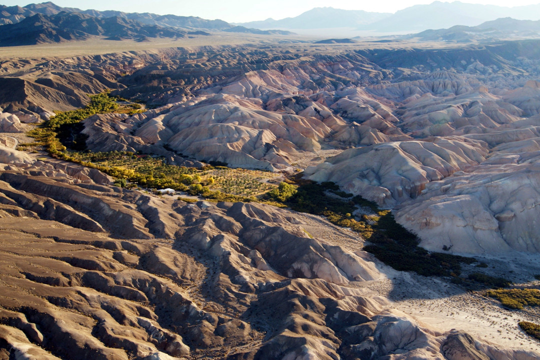 Tecopa旅游景点-China Ranch Date Farm