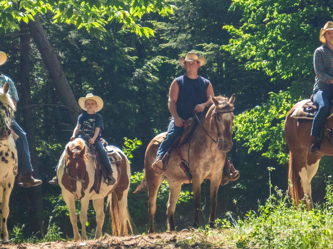 Ruggiero's Public Horseback Riding And Cabin Rentals景点图片