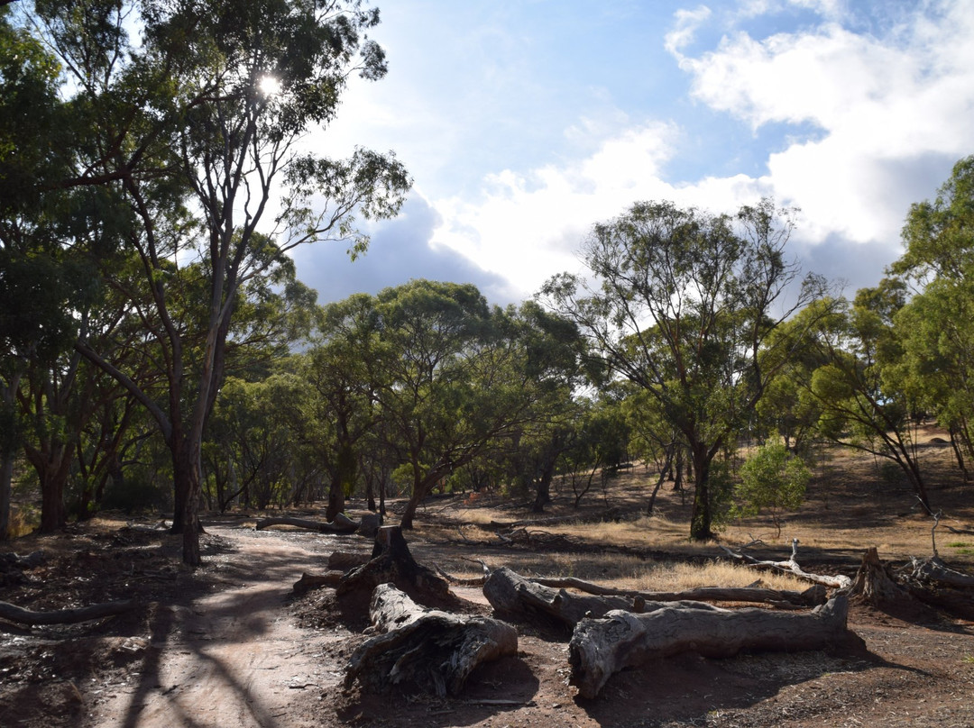 Shepherds Hill Recreation Park景点图片