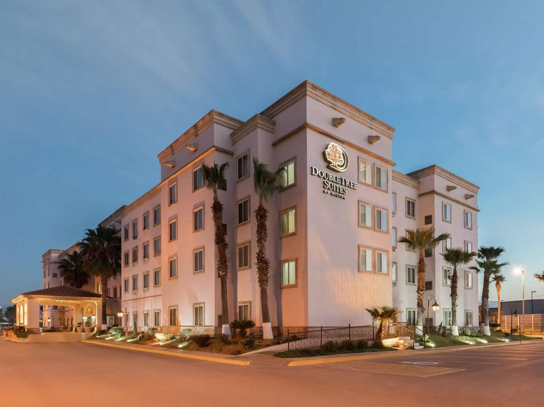 希尔顿酒店萨尔蒂约枫林套房主图