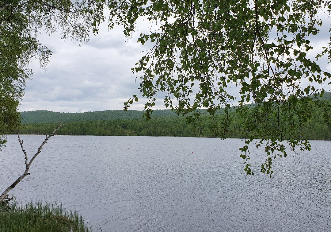 Lake Dikoye-Bograd必去景点