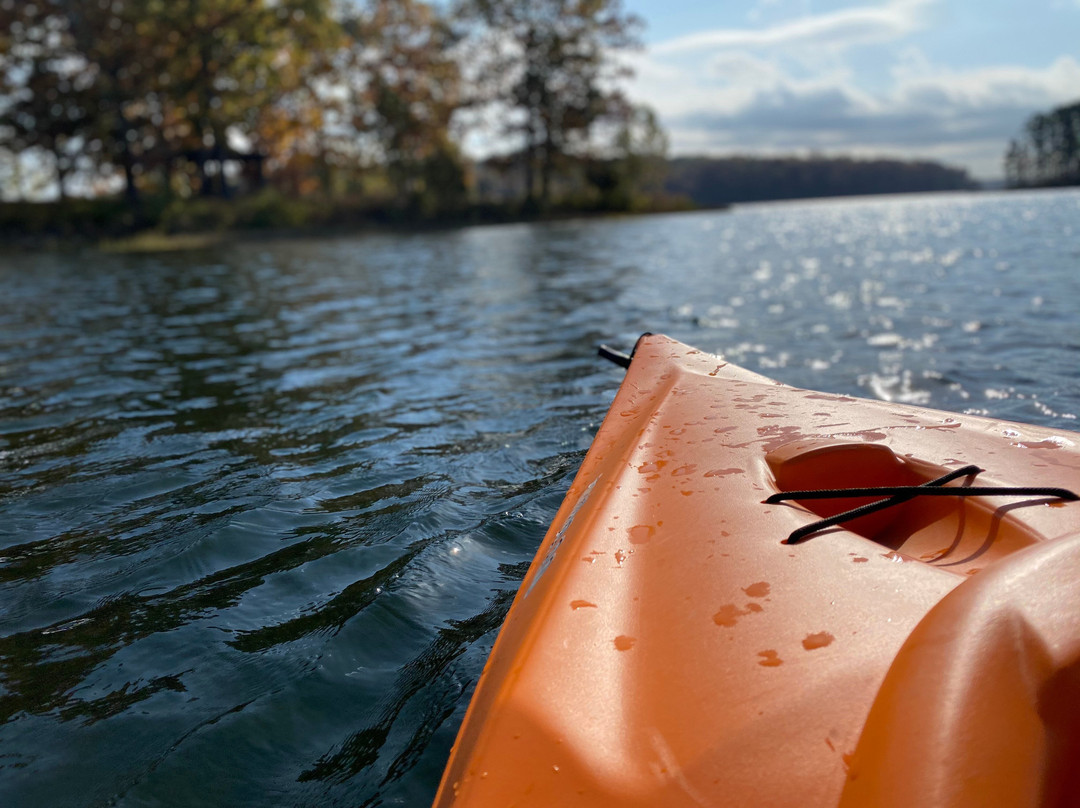 Fisheye Kayak Rentals-Carterville必去景点