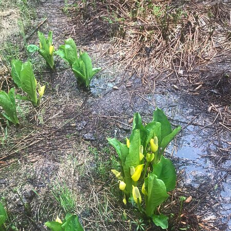 Dock Point Park & Trail-瓦尔迪兹必去景点