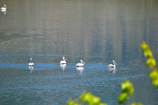 AEGAGROS ADVENTURES-约阿尼纳州必去景点