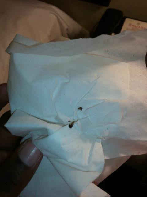 Hillcrest Hotel Near JFK Airtrain