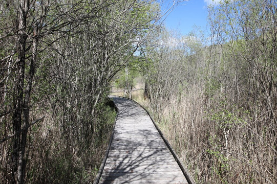 Marais Des Bouligons