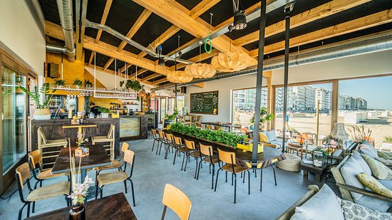 Surfing Elephant-Wenduine必去景点